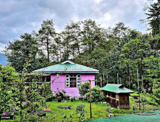 MALAWLEE HOME STAY is located in Mangan, North Sikkim