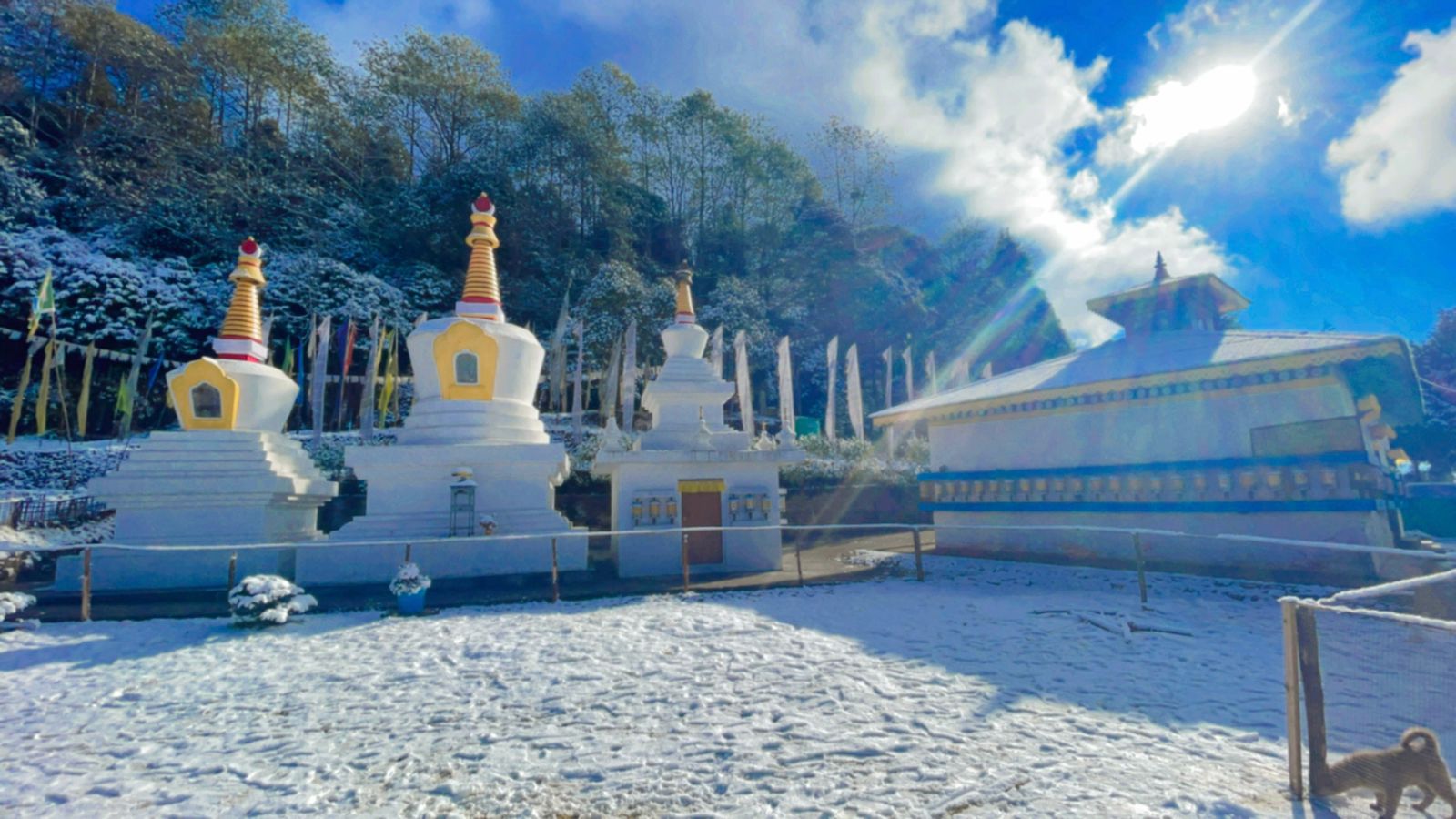 Lali Gurash Homestay, Okhrey