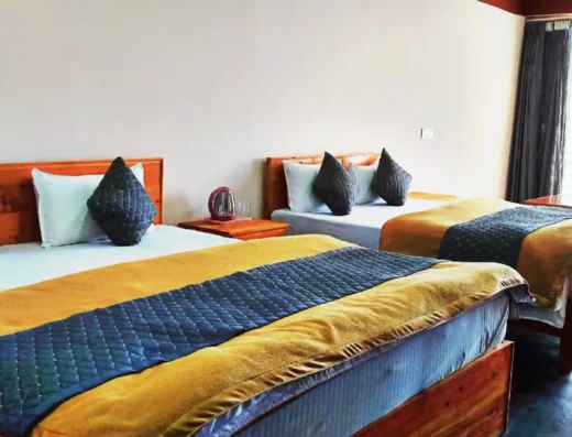 Pine valley view Homestay and Restaurant